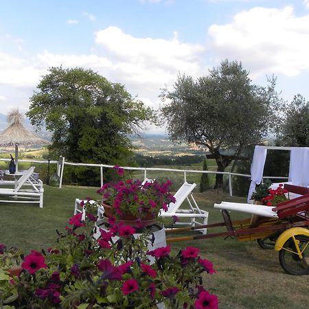 Country Resort Il Frassine 리냐노술라르노 외부 사진